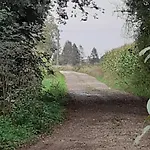 Au Bonh'air Independant *